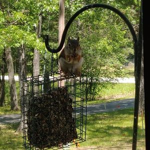 Meet your Posher, Barbara